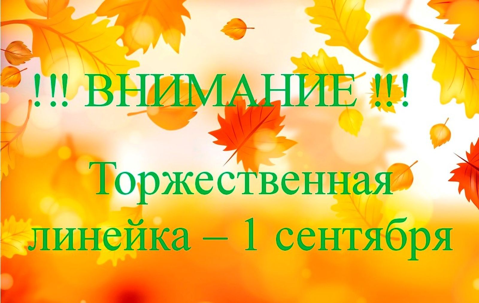 1 result